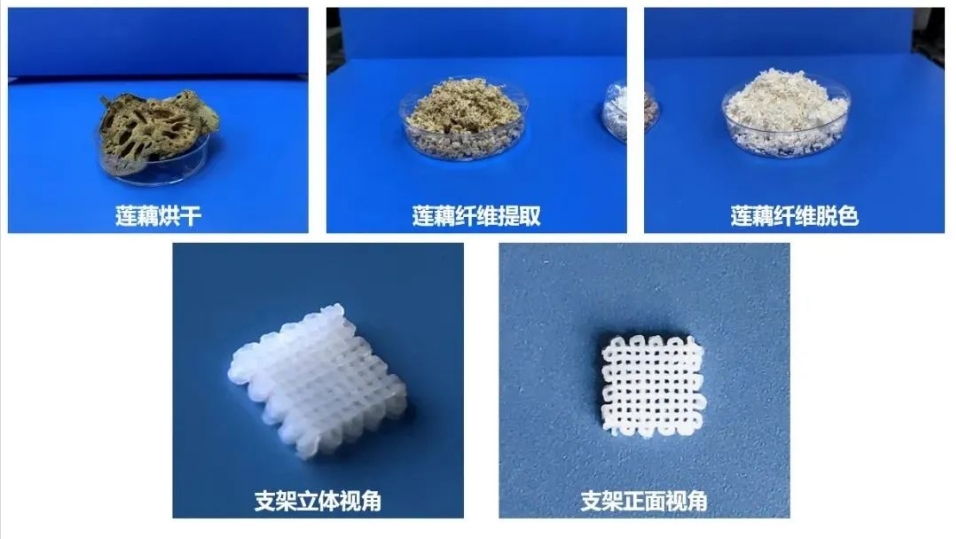 微信截图_20250305095524.png
